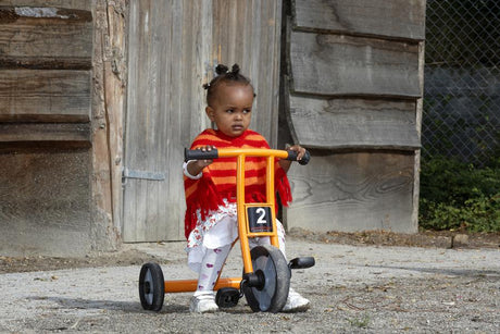 Tricycle Small Age 2-4