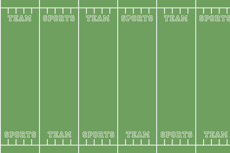 Fadeless® Team Sports Paper Roll, 48" x 50'