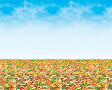 Fadeless® Autumn Landscape Paper Roll, 48″ x 50′