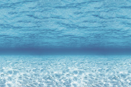 Fadeless® Under The Sea Paper, Four 48" x 12' Rolls