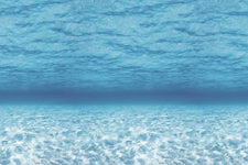 Fadeless® Under The Sea Paper, Four 48" x 12' Rolls