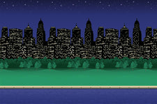 Fadeless® City Lights Paper, Four 48" x 12' Rolls