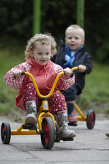 Tricycle - Low