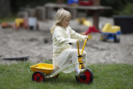 Tricycle With Tray