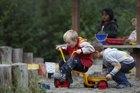 Tricycle With Tray