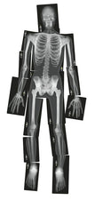 True To Life Human X-Rays