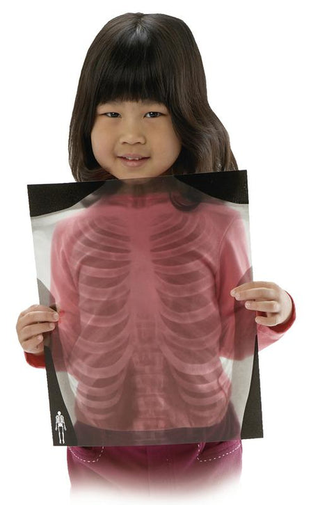 True To Life Human X-Rays
