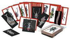 Insect X-Rays And Picture Cards