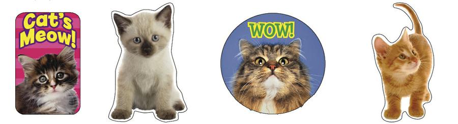 Motivational Cats Theme Stickers