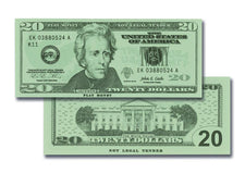 $20 Bills Set (100)