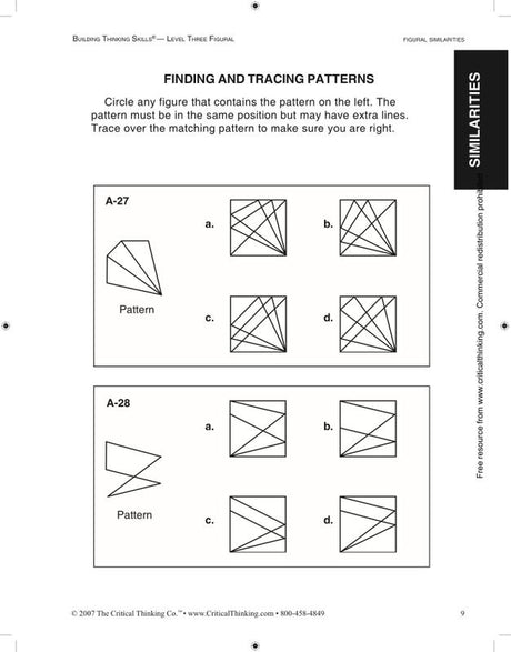 Building Thinking Skills Level 3 Figural