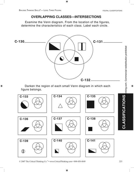 Building Thinking Skills Level 3 Figural