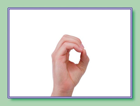 American Sign Language Number Cards (0-30)