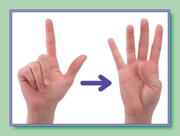American Sign Language Number Cards (0-30)