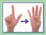 American Sign Language Number Cards (0-30)