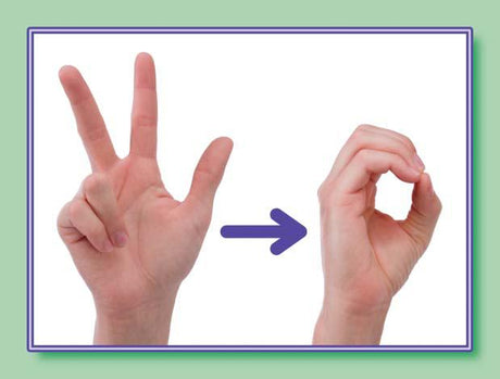 American Sign Language Number Cards (0-30)