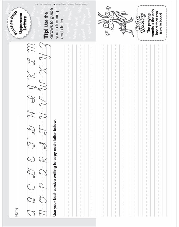 Scholastic Cursive Writing Practice: Wacky Facts | SC-594317 – SupplyMe