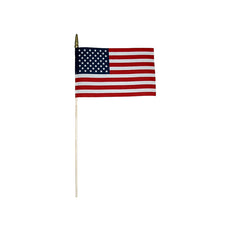 American Flag 8 x 12