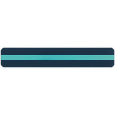 Sentence Strip Reading Guide, Aqua