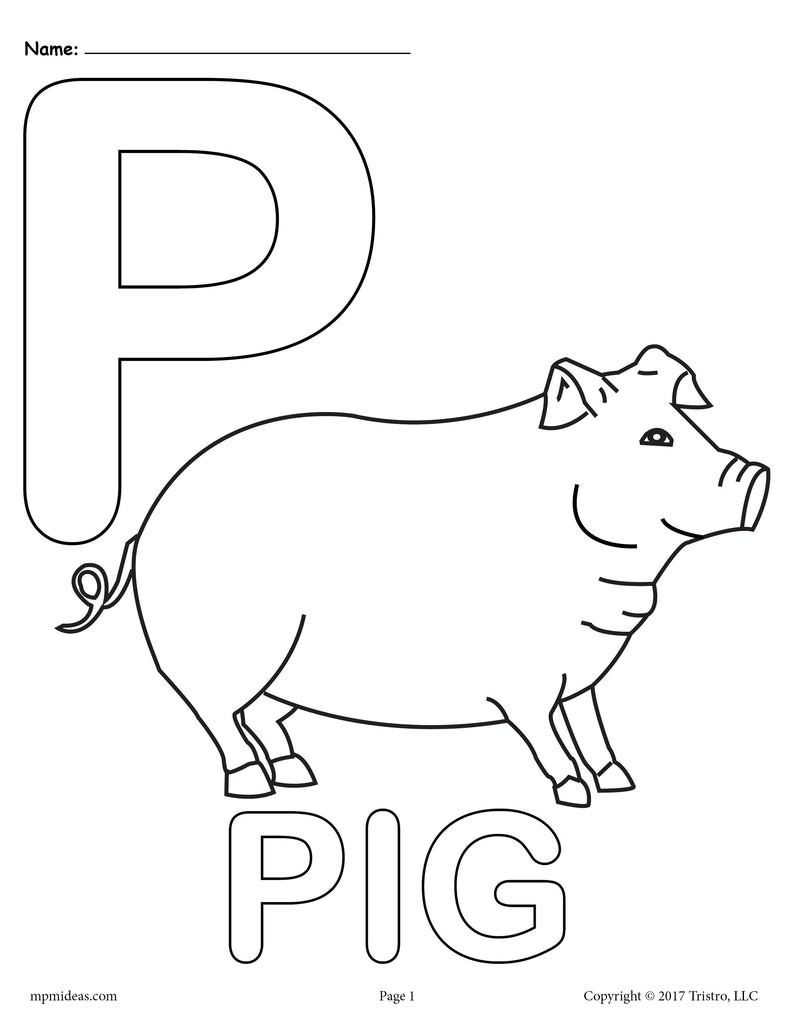 Letter P Color P Alphabet Letter
