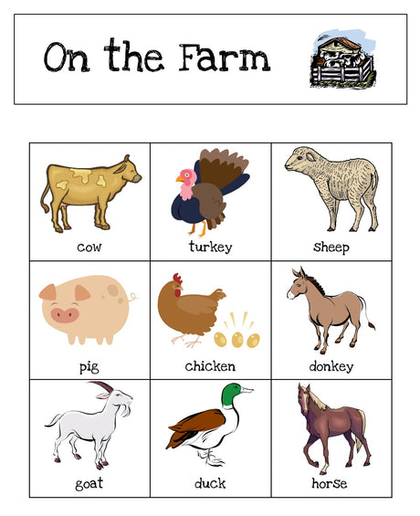 Animal Sorting Game