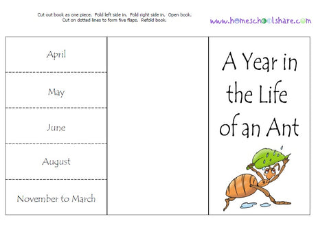 The Wonderful World of...Ants!