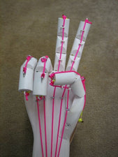Engineering + Physiology - Building an Articulated Hand