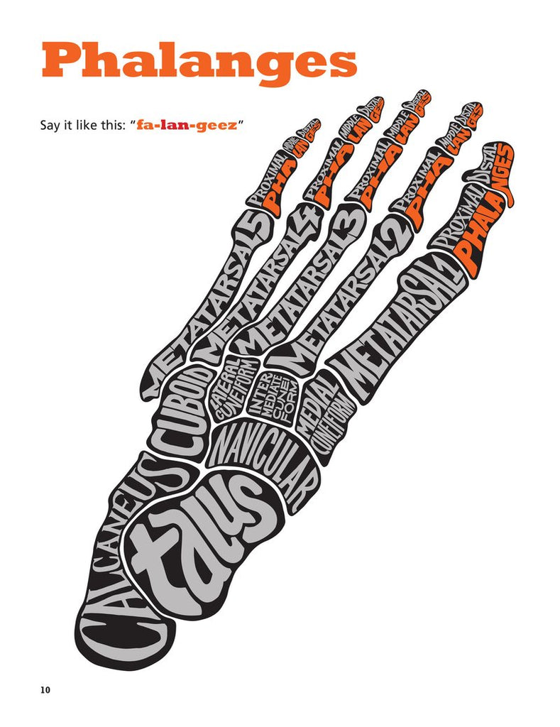 Know Yourself 4-Book Bundle: Dr. Bonyfide Presents 206 Bones of the Human Body