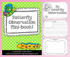 Butterfly Observation Booklet Freebie!