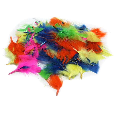 Turkey Feathers, Hot Colors