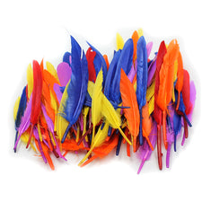 Duck Quills, 3" - 5", Assorted Colors