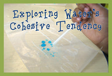 Properties of Water Lab #1 - Water's Cohesive Tendency
