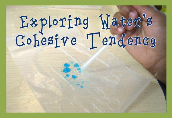 Cohesion Lab Activity Properties of Water Lab #1 - Water's Cohesive Tendency – SupplyMe