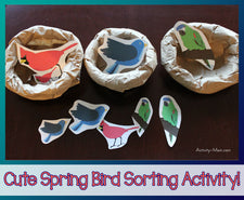 Cute Spring Bird Sorting Activity (with FREE Printable)!