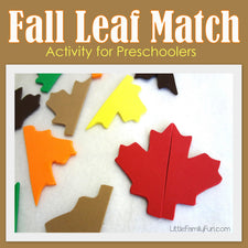 DIY Fall Leaf Match Activity for Preschoolers!