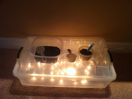 DIY Light Box