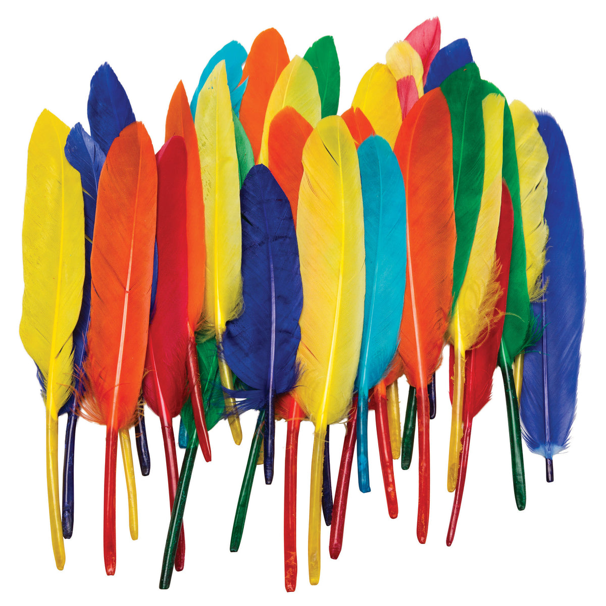 Chenille Kraft Duck Quill Feathers - Bright Color Assortments