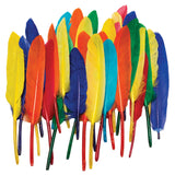 Chenille Kraft Duck Quill Feathers - Bright Color Assortments