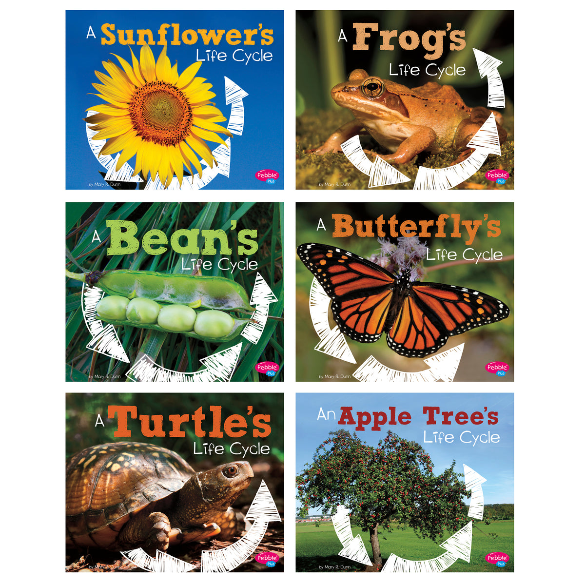 Capstone Publishing Explore Life Cycles, Set of 6 Books