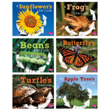 Capstone Publishing Explore Life Cycles, Set of 6 Books