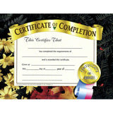 Hayes School Publishing Certificate of Completion 2