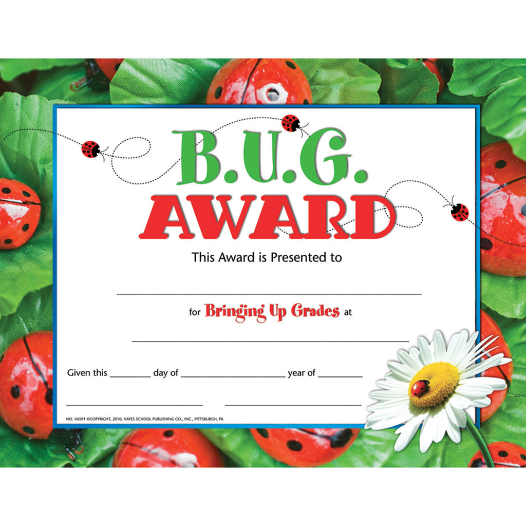 Hayes School Publishing B.U.G. Award