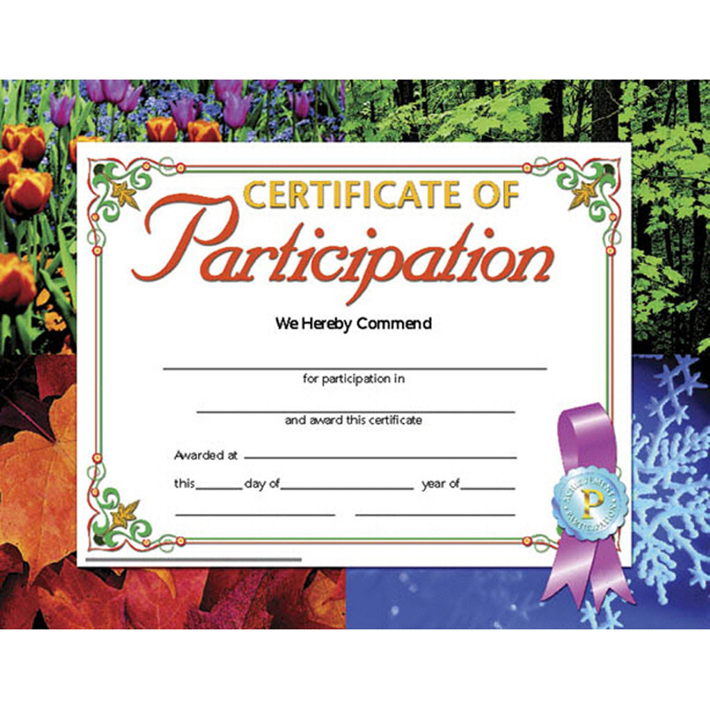 Hayes School Publishing Certificate of Participation 1