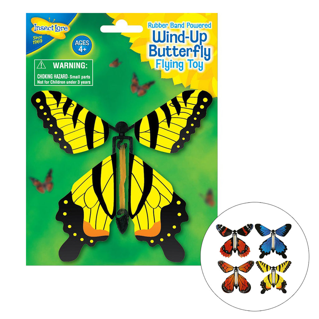 Insect Lore Wind Up Butterfly