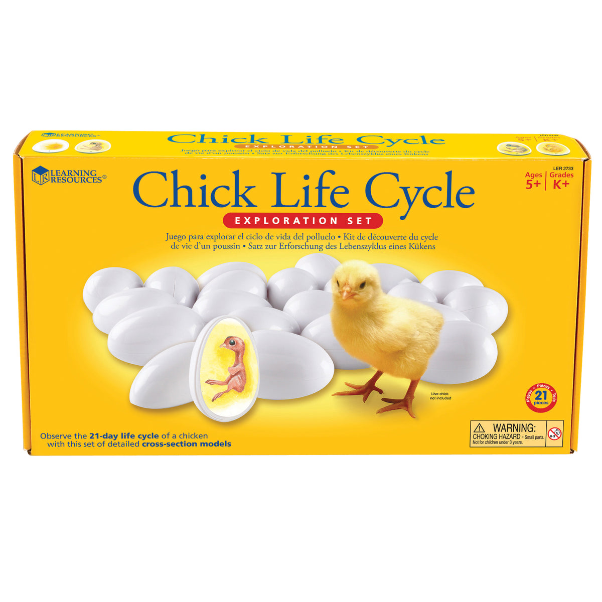 Learning Resources Chick Life Cycle Exploration Set