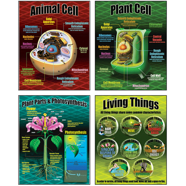 McDonald Publishing Life Science Poster Set | MC-P077 – SupplyMe