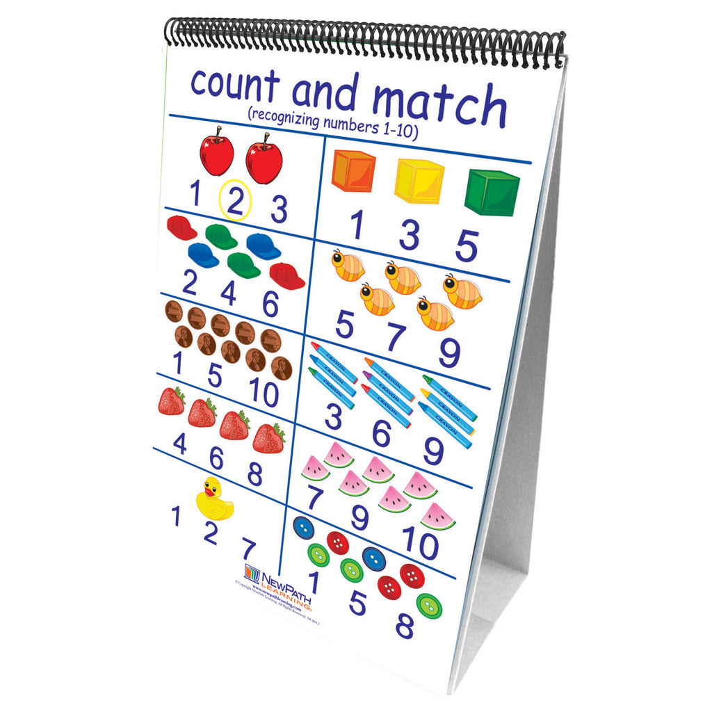 New Path Learning Number Sense 10 Double Sided Curriculum Mastery Flip Charts