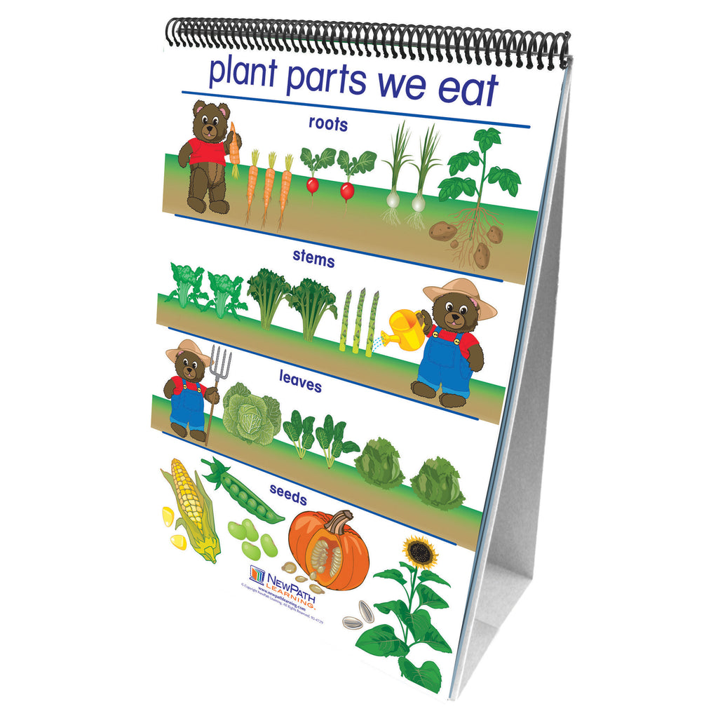 New Path Learning All About Plants Curriculum Mastery® Flip Chart Set - Early Childhood