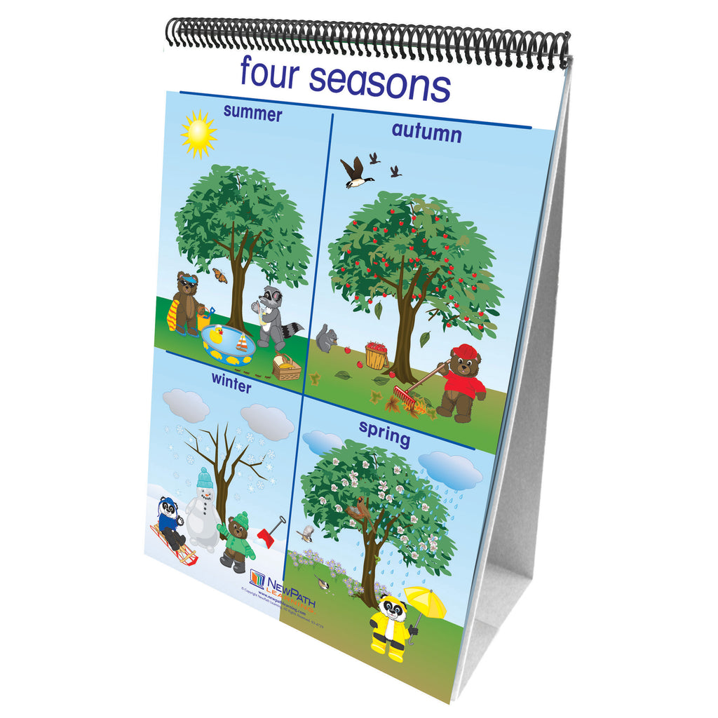 New Path Learning Flip Charts Weather & Sky Early Childhood Science Readiness