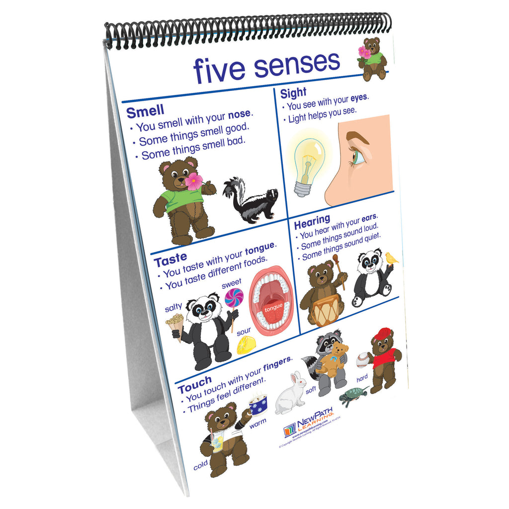 NewPath Learning Numbers 1 to 10 Flip Charts